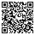 Repo 2025最新版