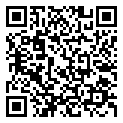 甜瓜游乐场 29.0.3版本
